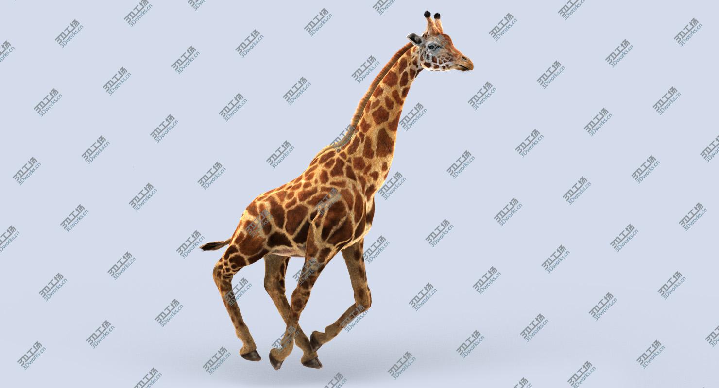 images/goods_img/202104022/Giraffe (2) (RIG) (FUR) 3D model/3.jpg
